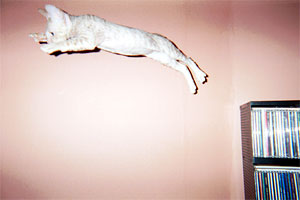 http://www.ursus.clara.net/Cornish_Pics/pic1.jpg